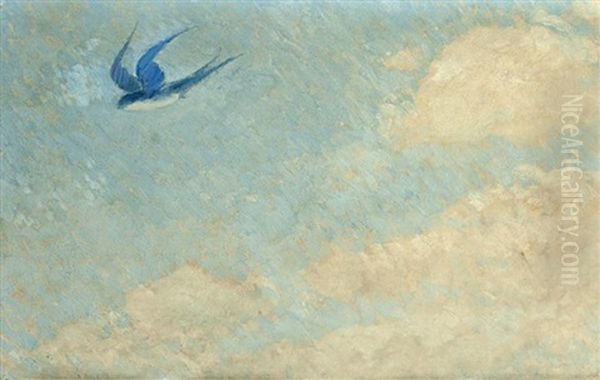The Lone Swallow - view 1
