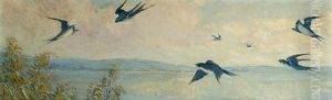 Swallows In Flight