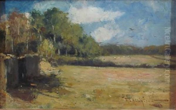 Cottage Ruins - view 1