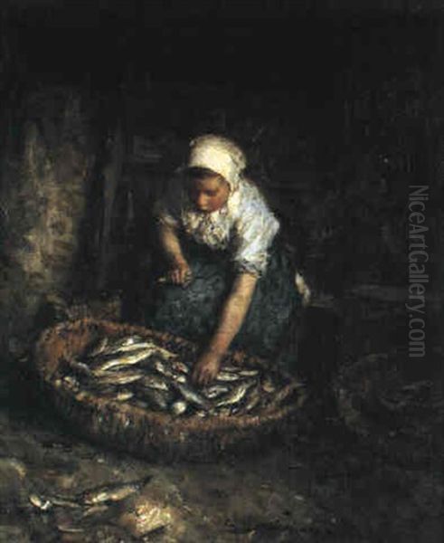 Sorting The Catch - view 1