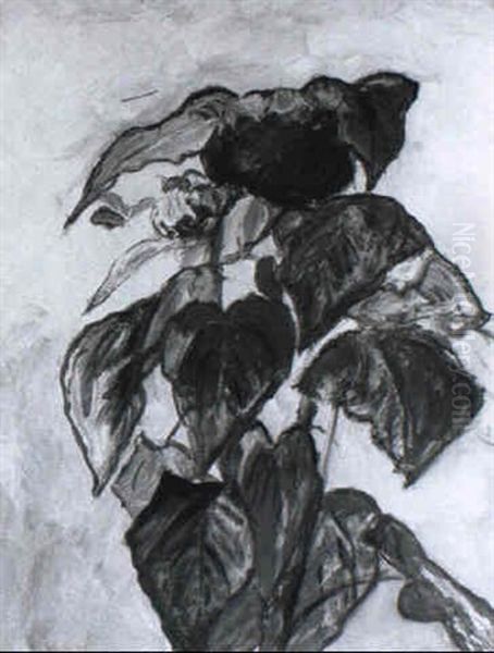 Sonnenblumen - view 1