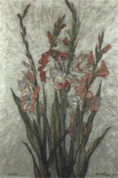 Gladiolen - view 1