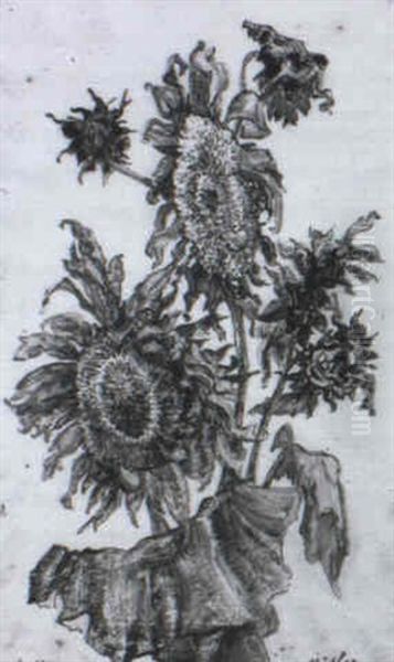 Sonnenblumen - view 1
