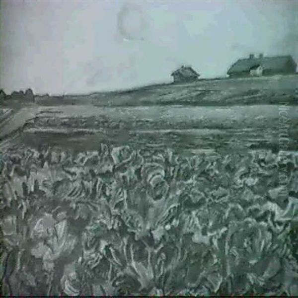 Kohlfeld - view 1