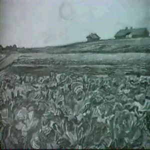 Kohlfeld