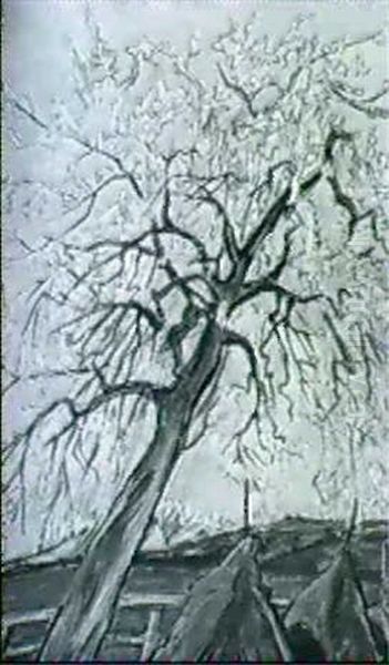 Bluhender Baum Uber Heuschocken - view 1