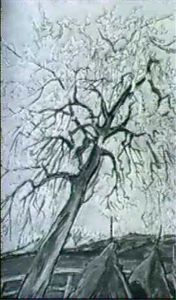 Bluhender Baum Uber Heuschocken Bluhender Baum Uber Heuschocken