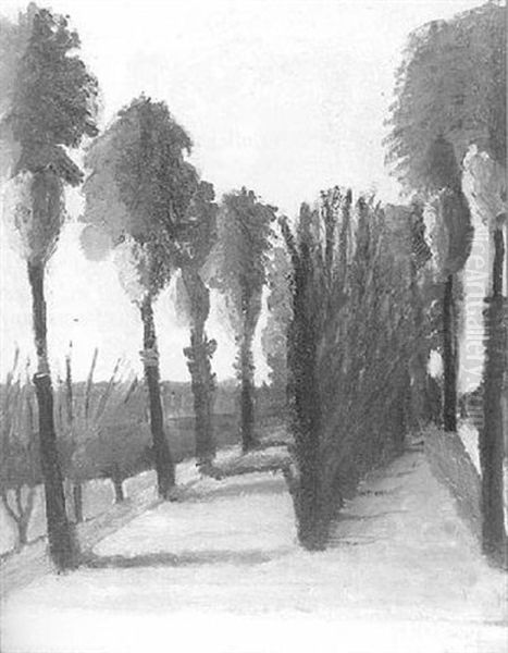 Palms At City Park, New Orleans - view 1