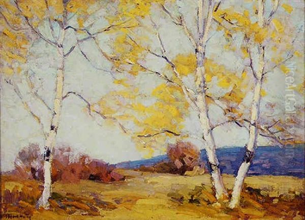 Birch Trees - view 1