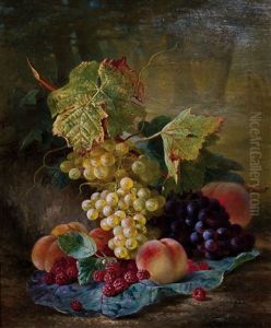 Fruchtestillleben Mit Trauben, Himbeeren Und Pfirsichen Fruchtestillleben Mit Trauben, Himbeeren Und Pfirsichen