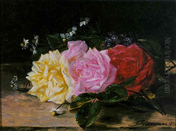 Three Roses - view 1
