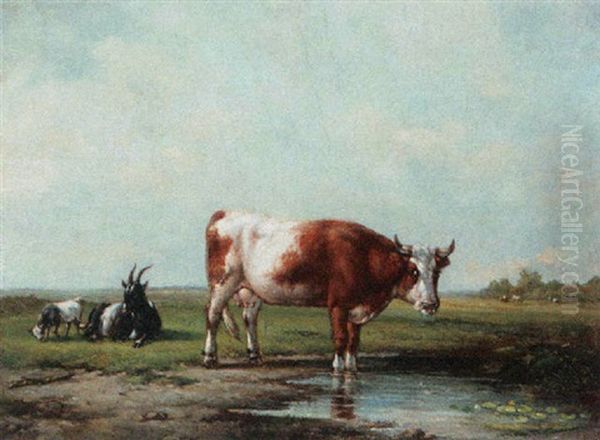 Cow Standing In The Water - view 1