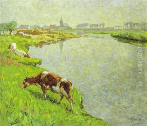 De Leie Te Ousselghem - view 1