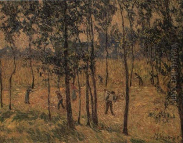 Fenaison - view 1
