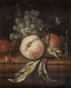 Stillleben Mit Fruchten, Maus, Schnecke, Schmetterling Und Insekten