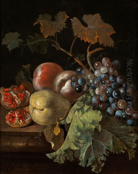 Stillleben Mit Trauben, Baumobst, Granatapfel Und Schnecke - view 1