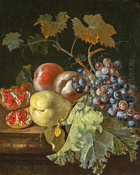 Stillleben Mit Trauben Und Granatapfel - view 1