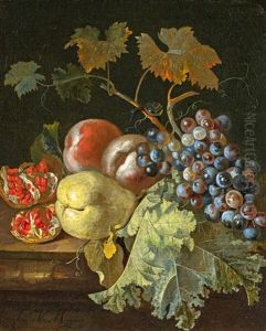 Stillleben Mit Trauben Und Granatapfel by Jan Van Huysum