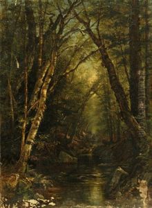 Forest With Creek