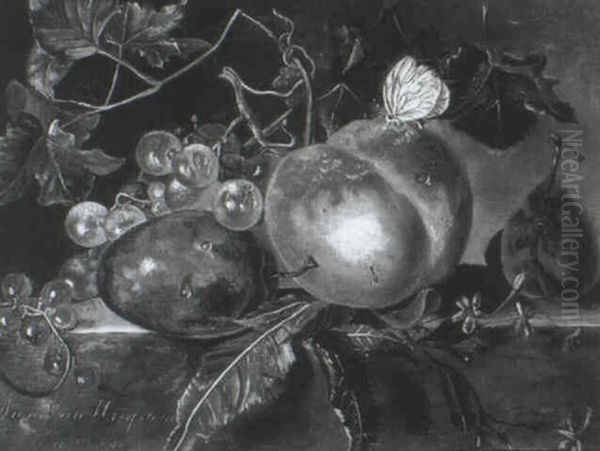 A Plum, Apple, Grapes And Red Currants On A Ledge - view 1