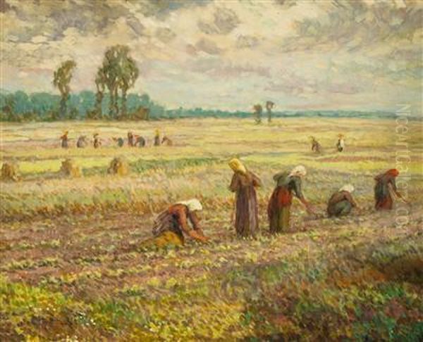 Women In The Field - view 1
