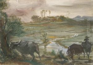 Paddy Fields In Annam, Indochina