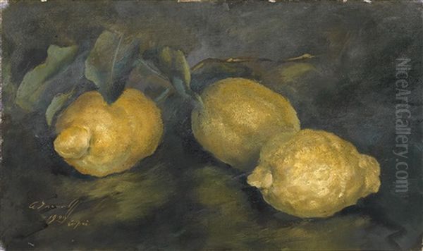 Citrons - view 1