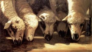 Ovejas Sesteando by Lino Casimiro Iborra