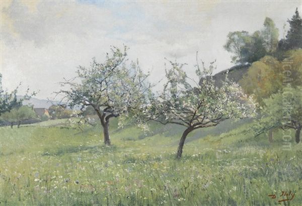 Fruhlingswiese Mit Bluhenden Baumen - view 1