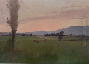 Weite Landschaft Im Abendrot