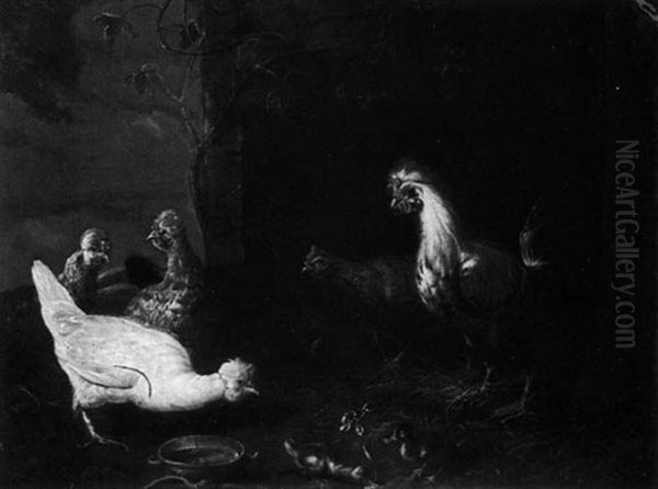 Farmyard Fowl - view 1