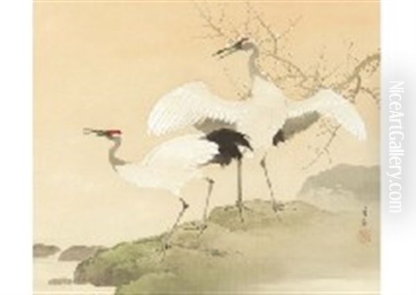 Early Spring Two Cranes - view 1