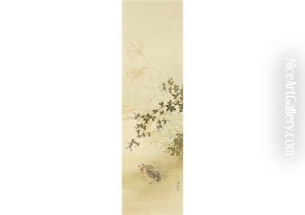 Autumn Quail - view 1