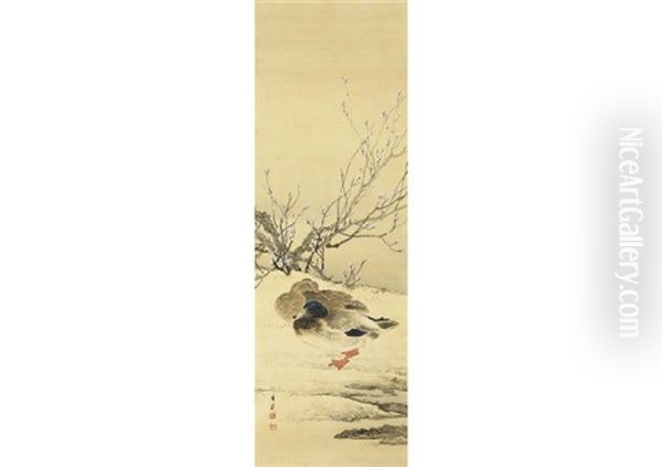 Duck In Spring - view 1
