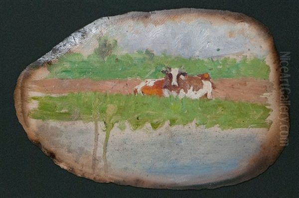 Resting Cow By The Water - view 1