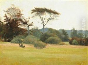 Landscape With Trees Landscape With Trees