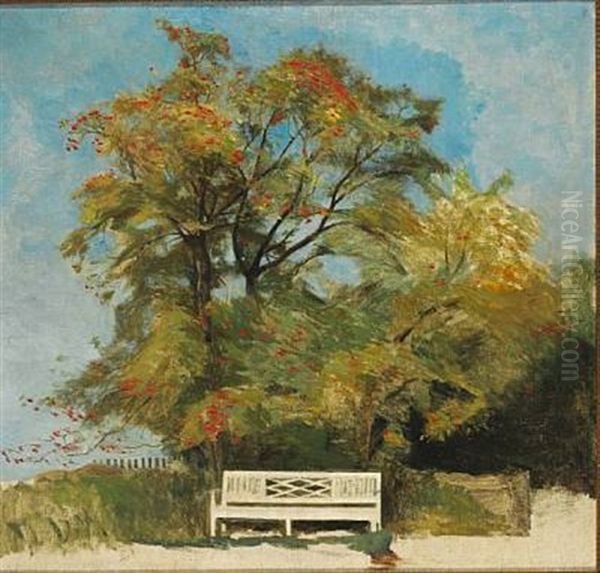 The White Bench Under A Blooming Tree In The Garden - view 1
