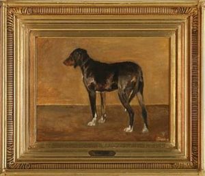 A Brown Sporting Dog