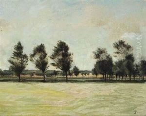 Landschaft Auf Falster Landschaft Auf Falster