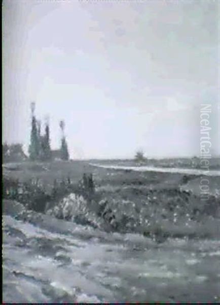 Sommerlandschaft - view 1