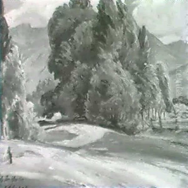 Placita Road, Taos - view 1