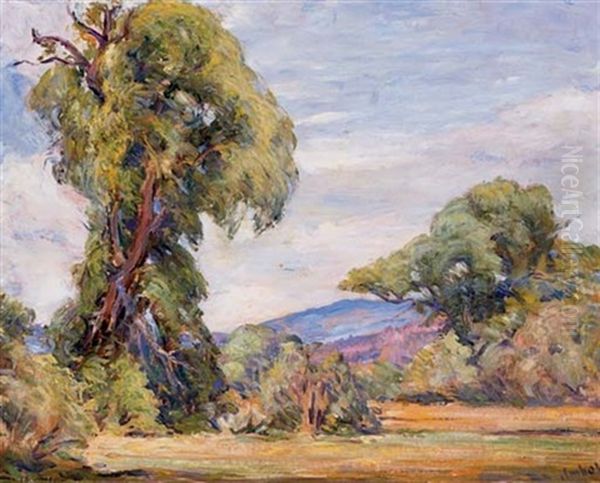Pot Creek Canyon - view 1