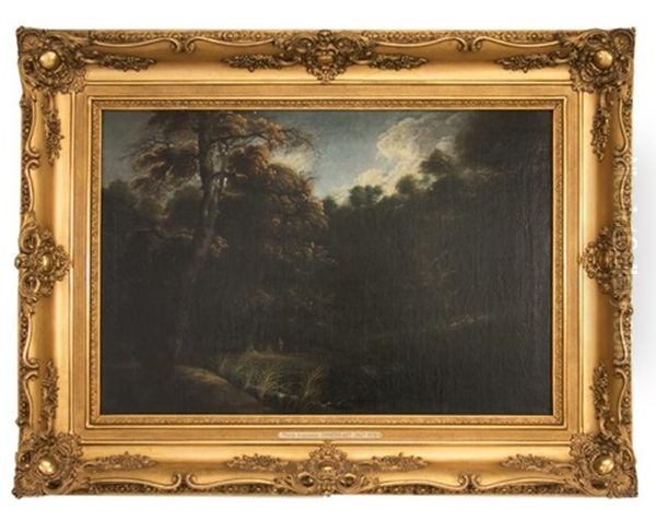 Landscape - view 1