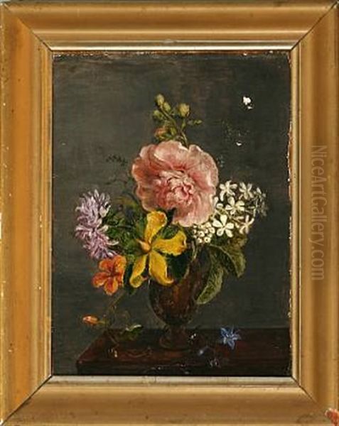 Still Life - view 1