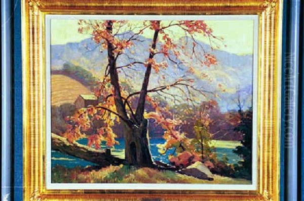 On The Banks Of The Tuckaseegee (bryson, North Carolina) - view 1