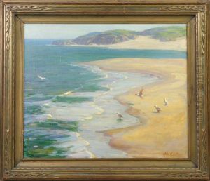Seagulls On The Seashore