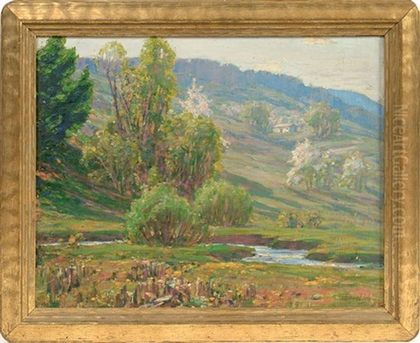 Spring Stream Scene - view 1