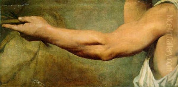 "bras De Phidas" (the Left Arm Of Phideas) - view 1