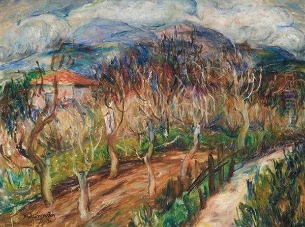 Paysage - view 1