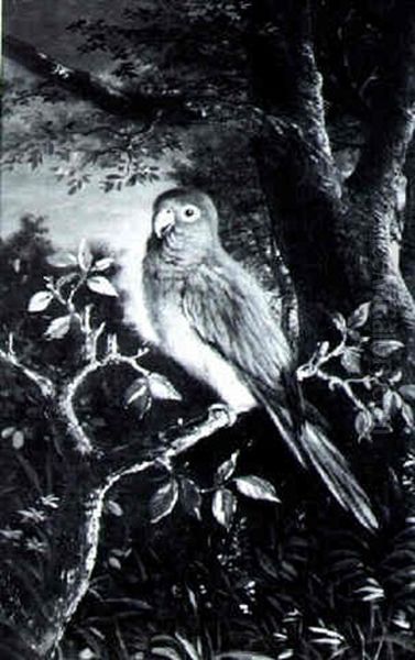 Parrot Perched In A Sunset Landscape - view 1